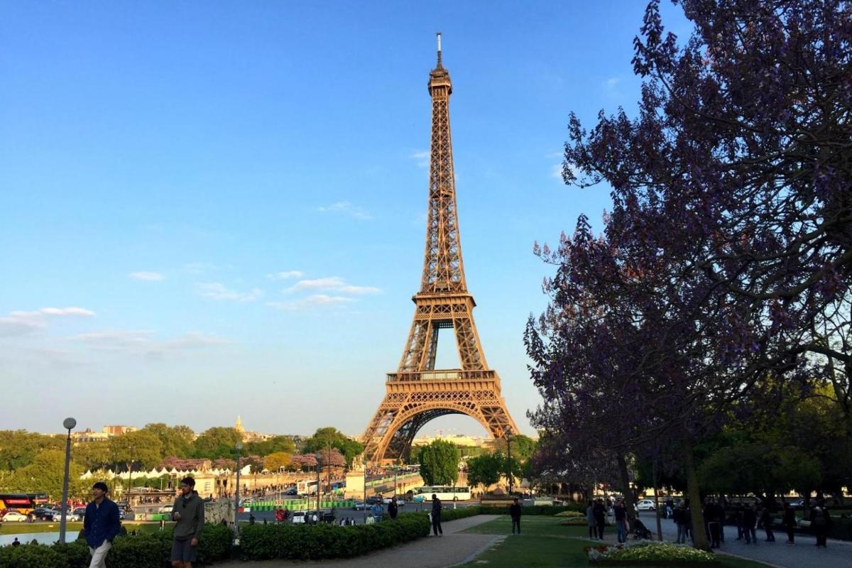 a view of the eiffel tower from a park
