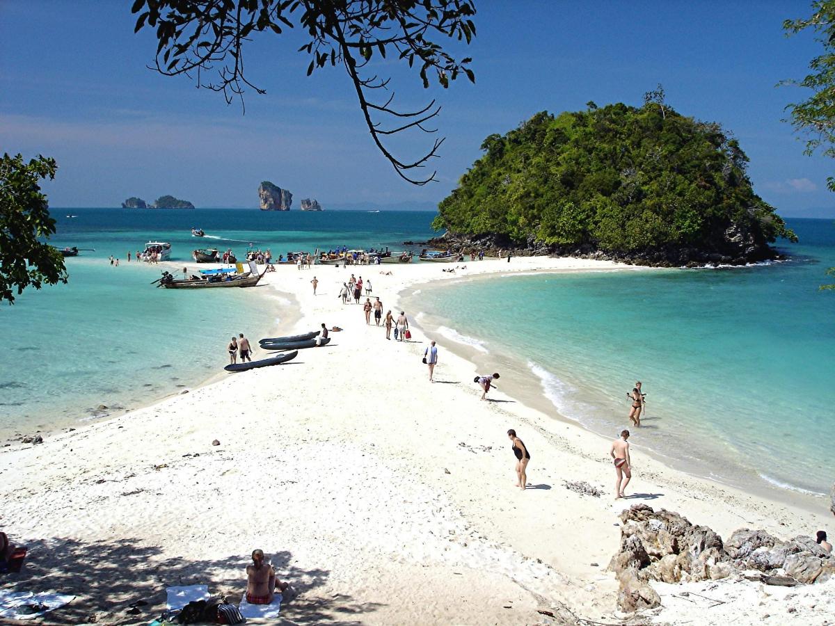 a group of people on a beach in the ocean