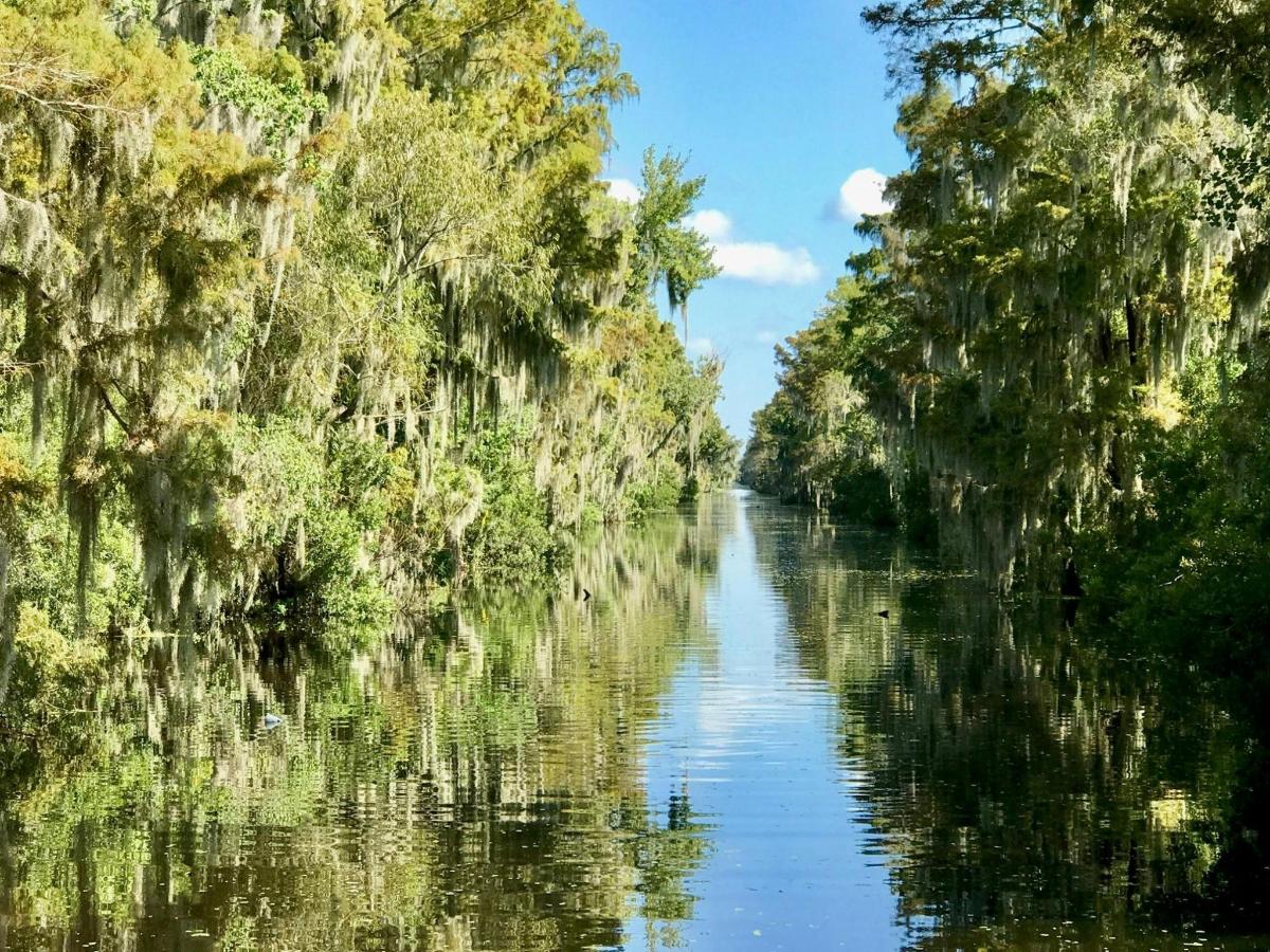 un fiume con alberi ai lati