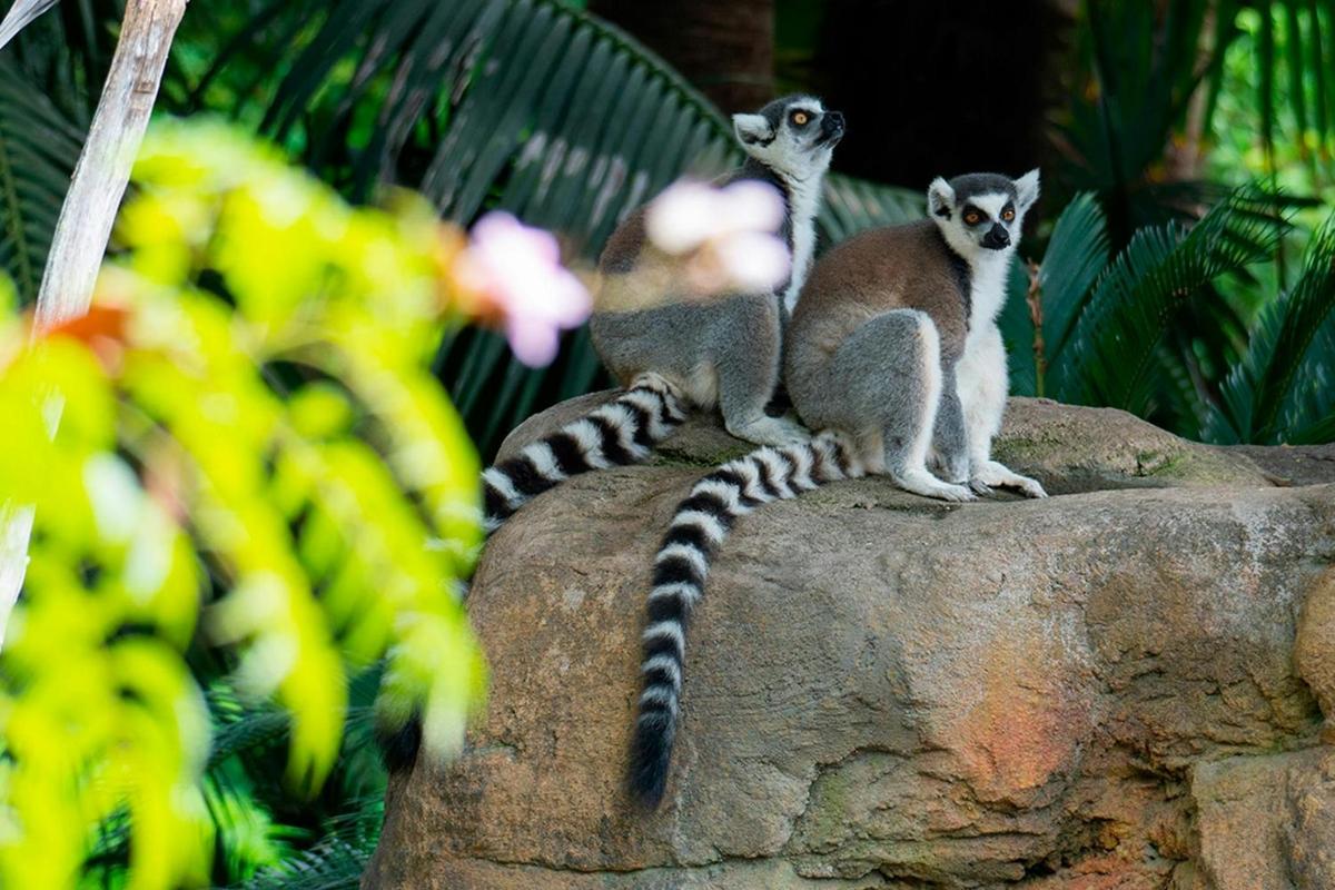 Attraction picture 2
