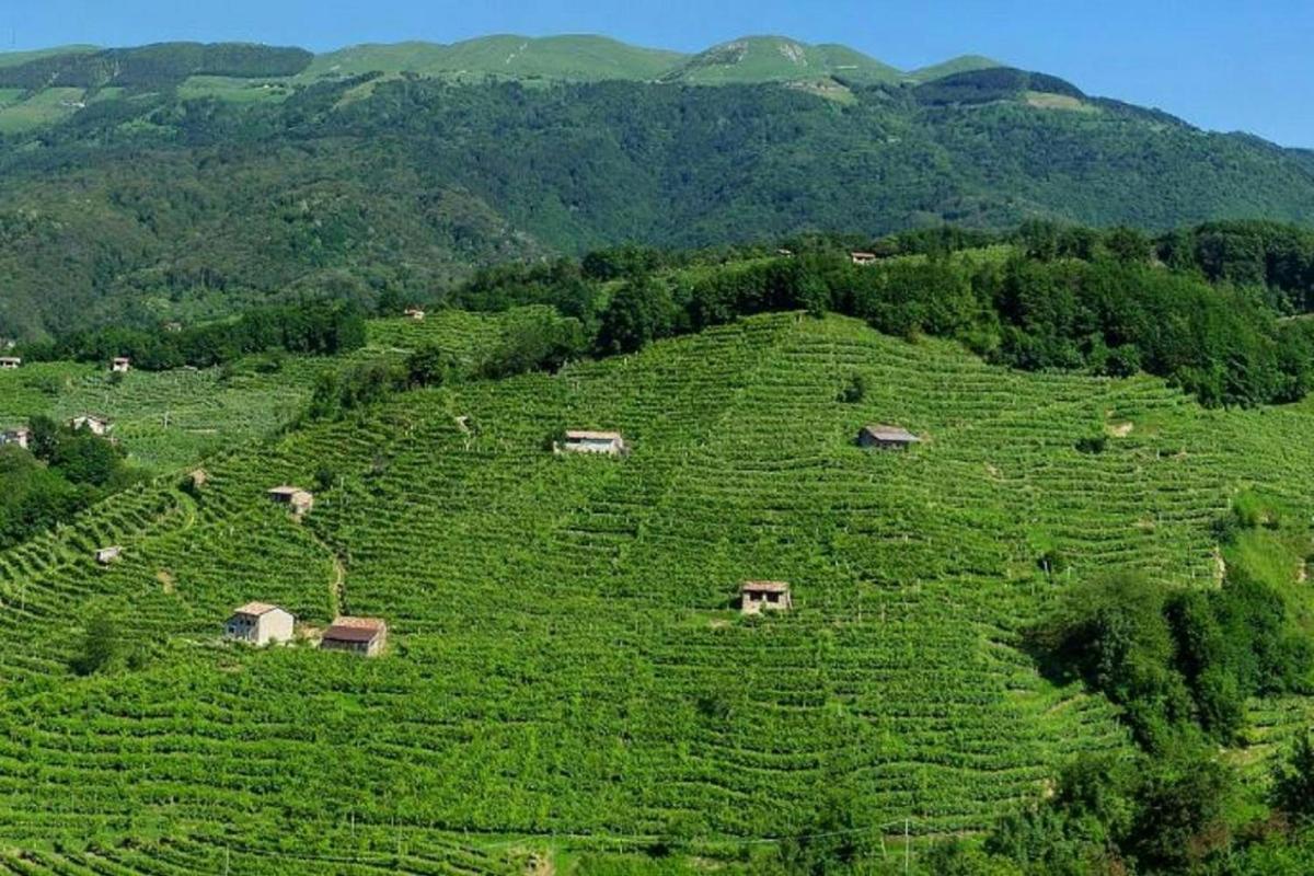 Una gran colina verde con casas en la cima.