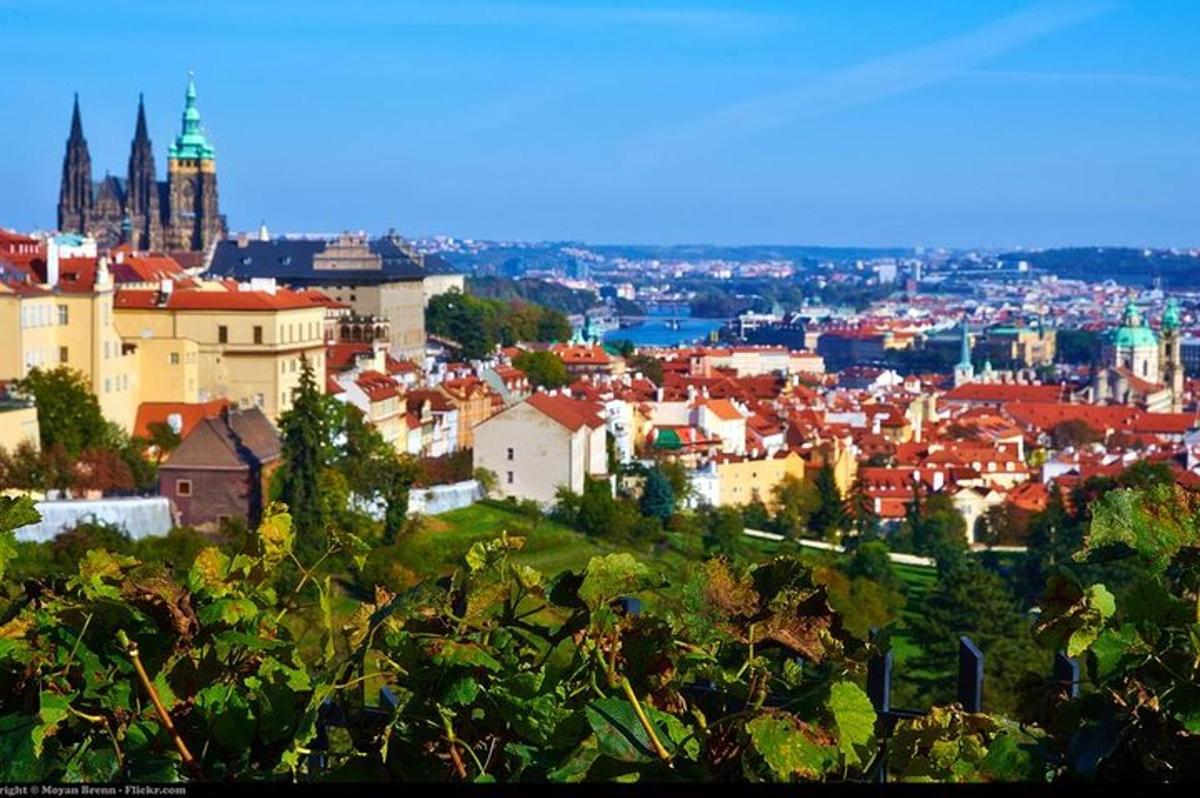 Blick auf eine Stadt von einem Hügel mit Gebäuden