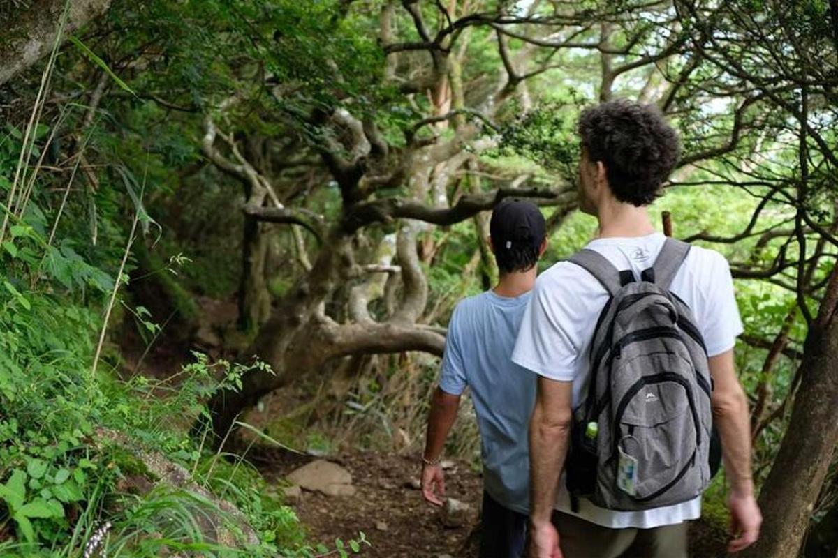 due uomini che camminano lungo un sentiero nel bosco