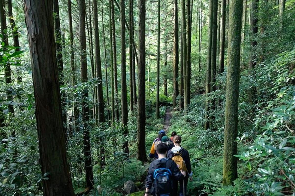 un gruppo di persone che camminano su un sentiero nel bosco
