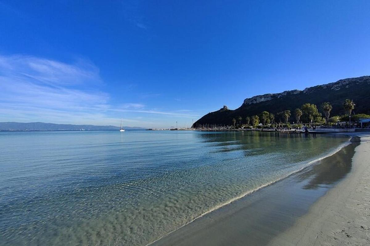 Blick auf einen Strand mit Bäumen und Wasser