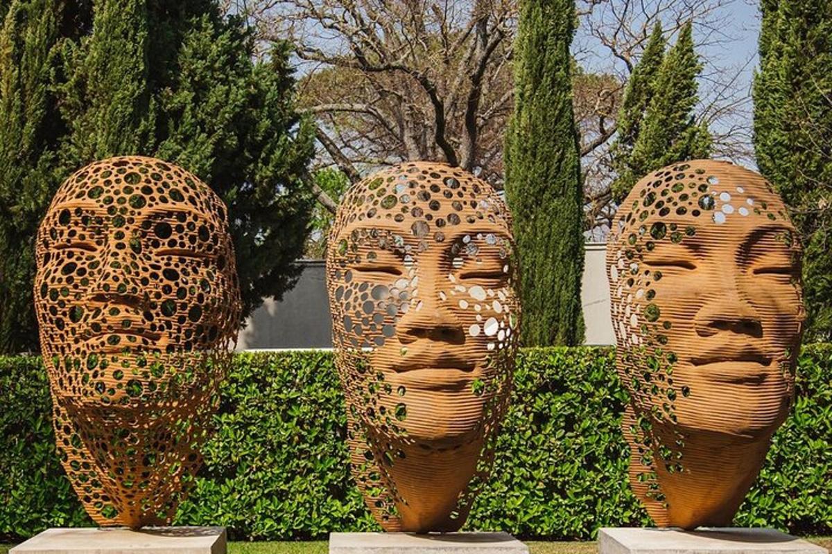 tres grans úlceres de caps en un parc