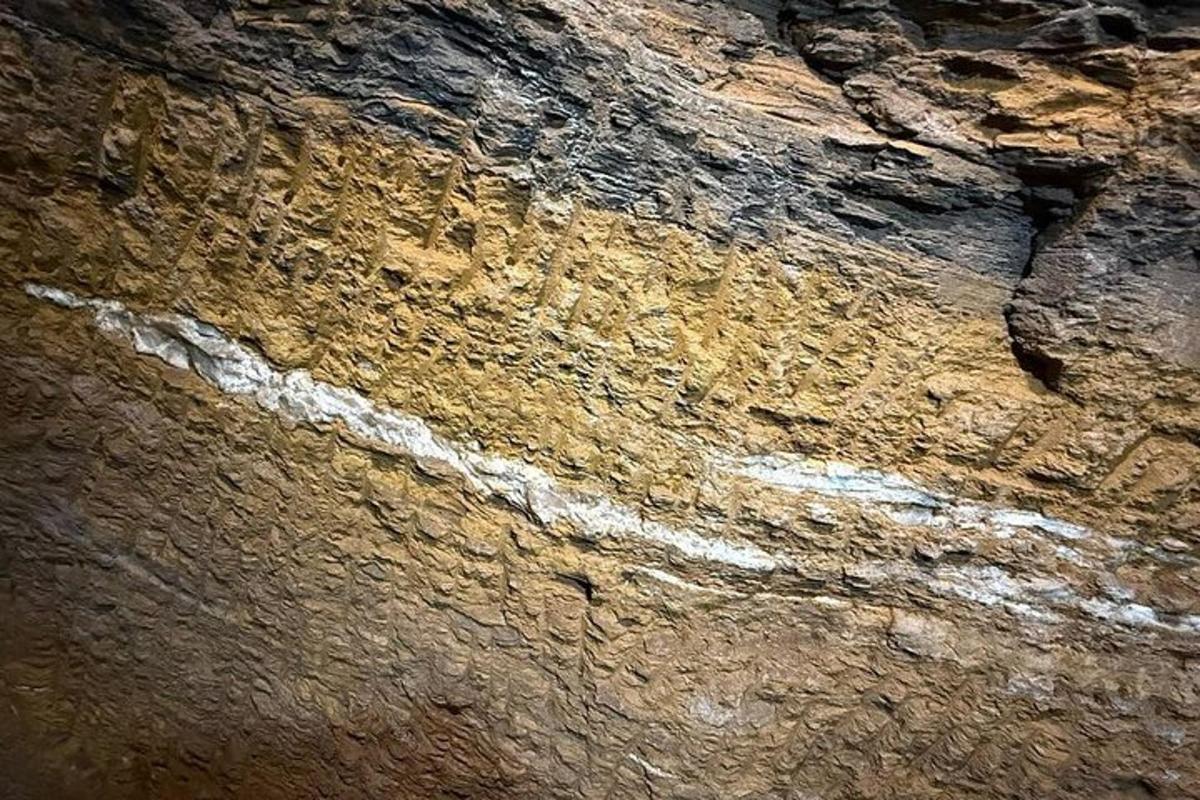 a close up of the side of a rock wall