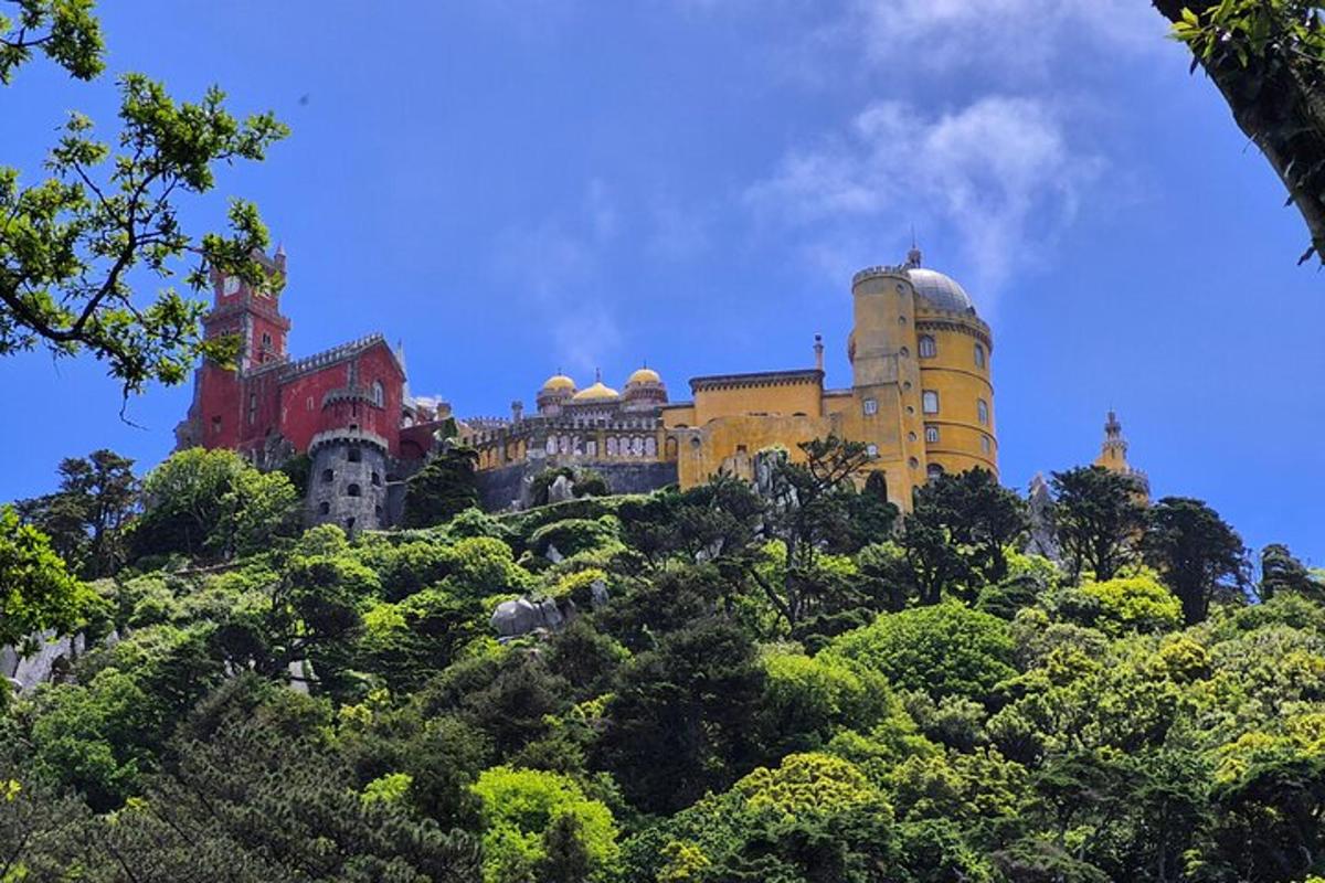 a castle on top of a hill with trees