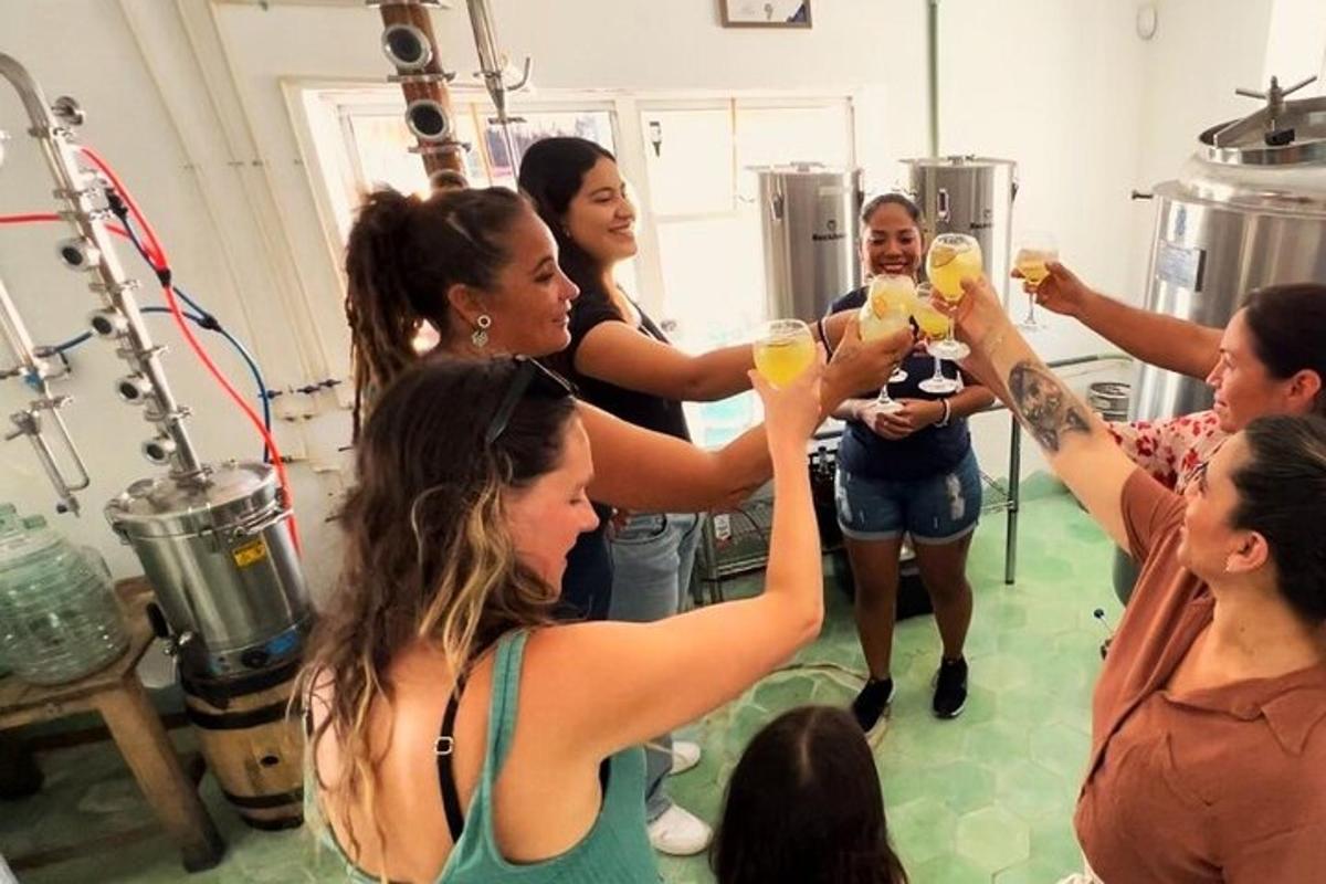 um grupo de mulheres segurando taças de vinho