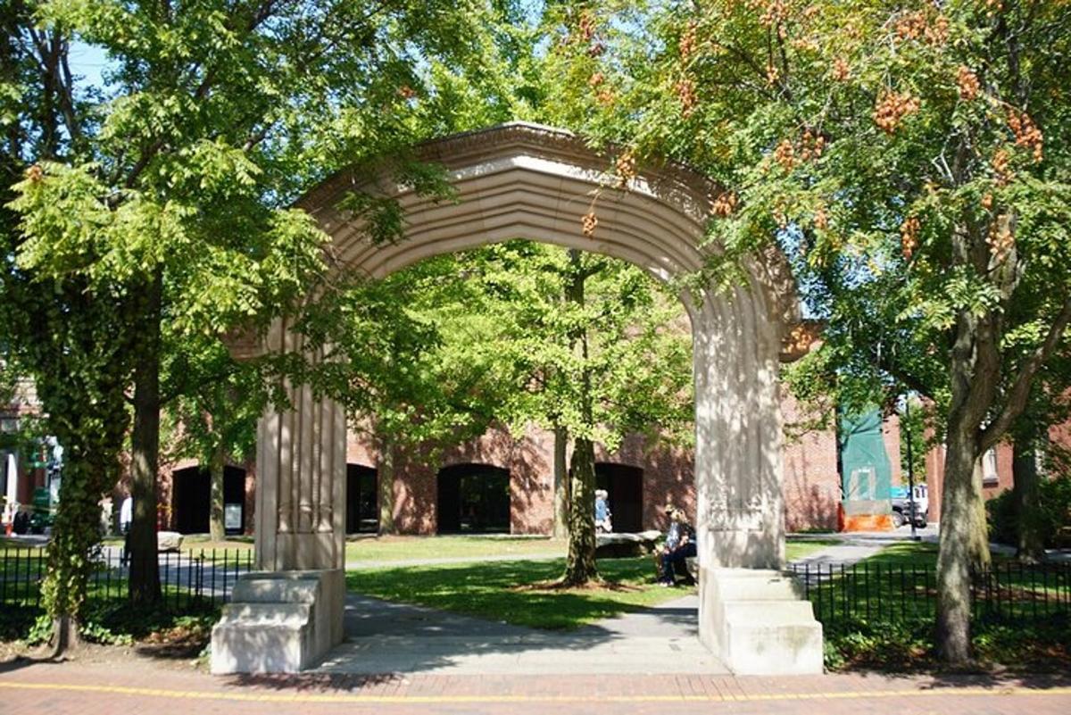 un arco di fronte a un edificio con alberi