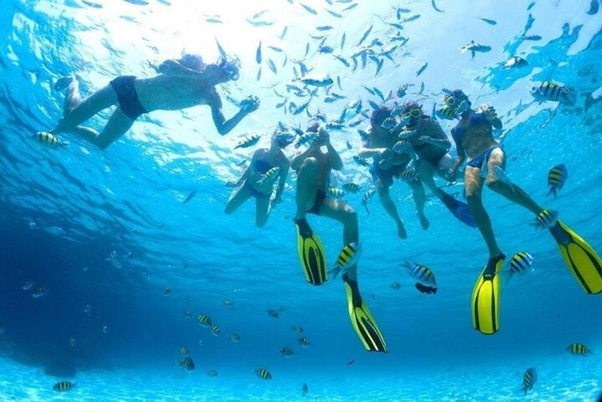 Un grupo de personas nadando en el agua con peces.