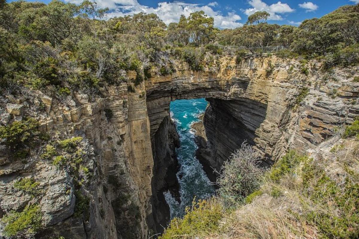 un arco nel fianco di una scogliera con l'oceano