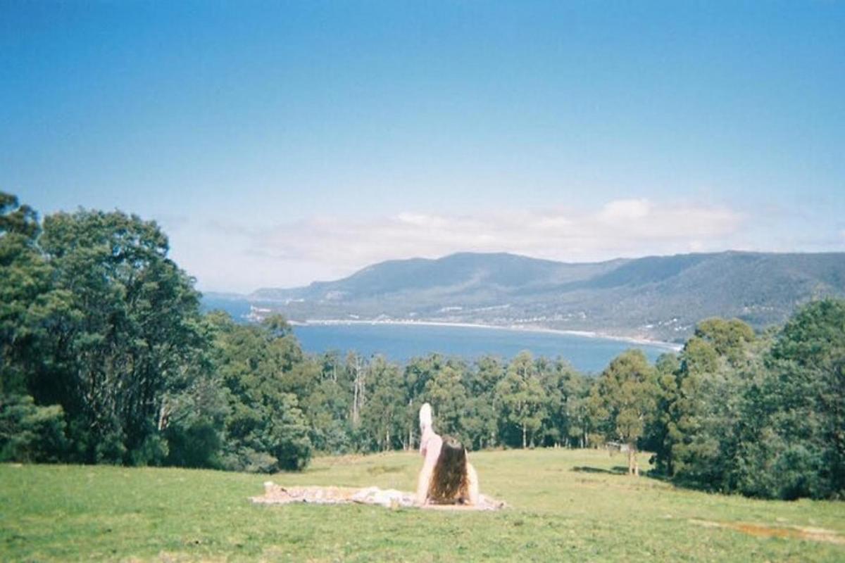 una statua di uccello in un campo con vista su un lago