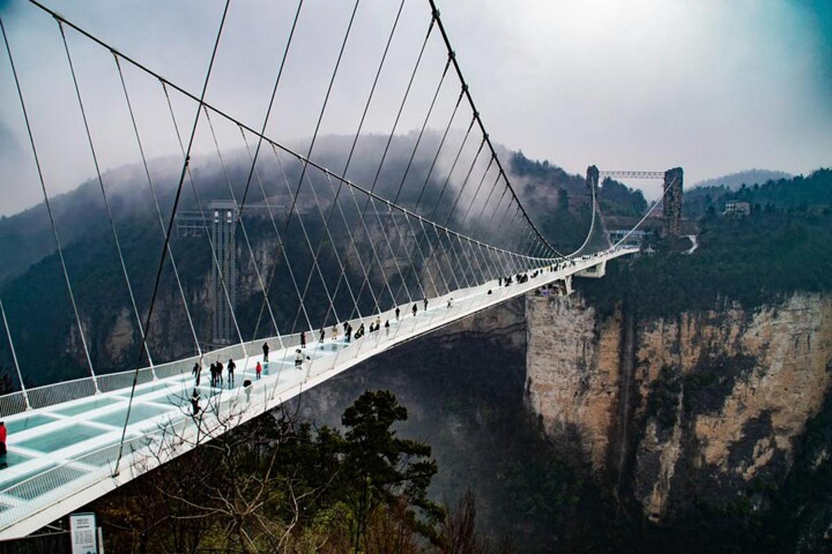 a group of people on a suspension bridge over a mountain