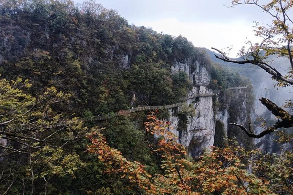 a mountain with trees and a bridge on it