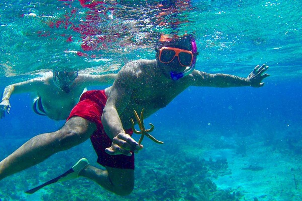 dua orang sedang berenang di dalam air