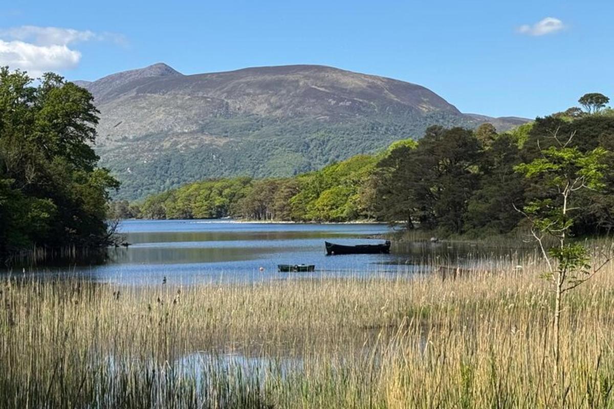 a view of a lake with a mountain in the background