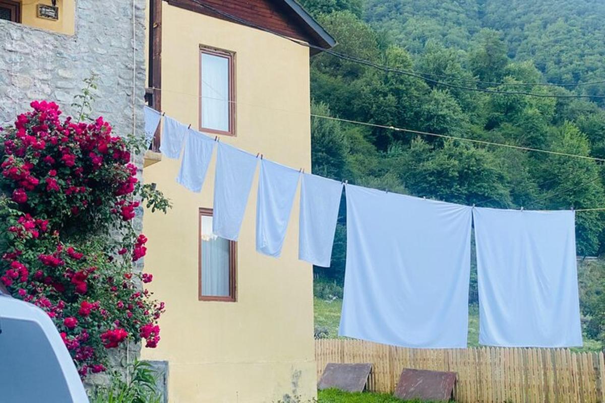 šnúra na bielizeň pred domom s kvetmi