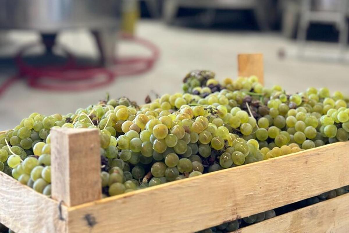 a wooden crate filled with green grapes on a table