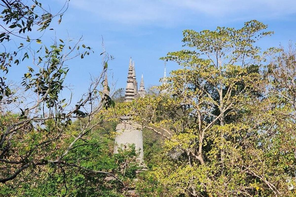 un gruppo di templi in lontananza con alberi