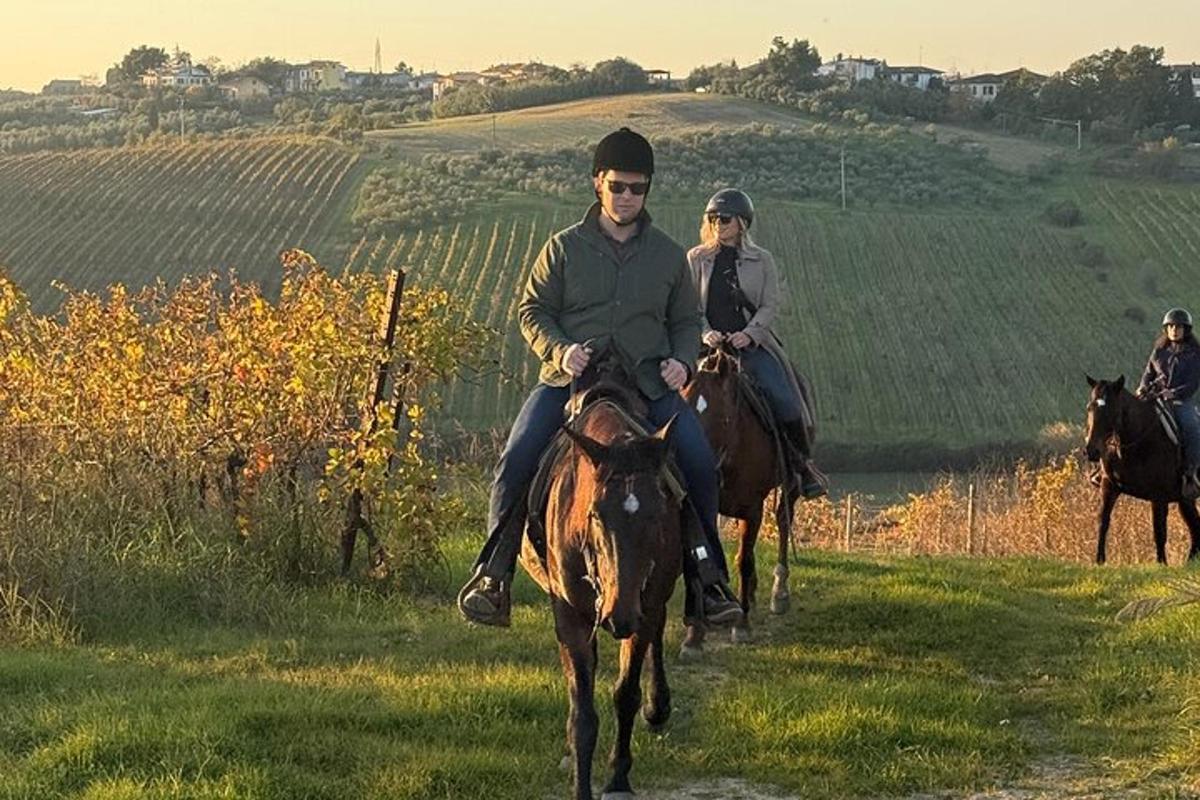 a group of people riding horses in a field