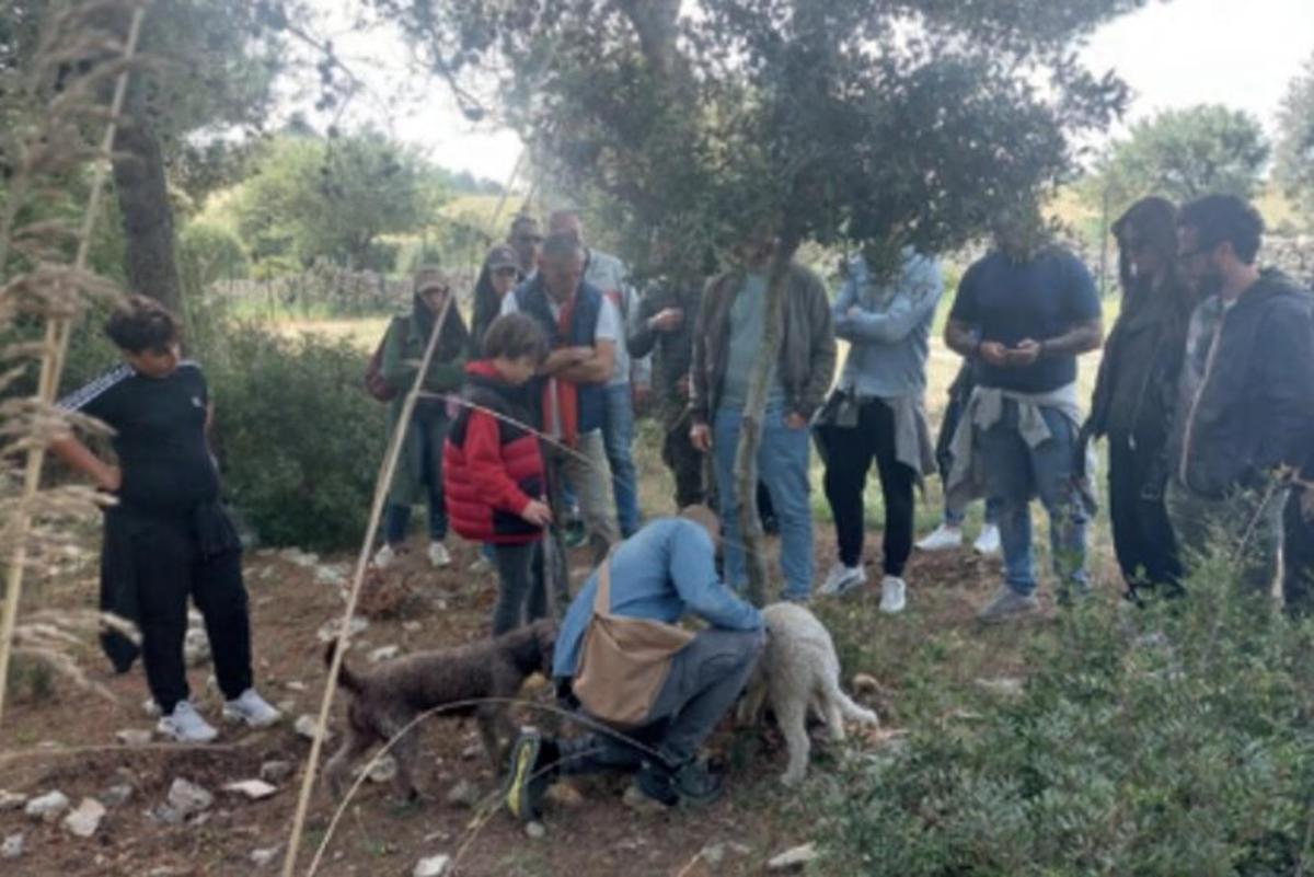 Un grupo de personas de pie en un campo con un perro.