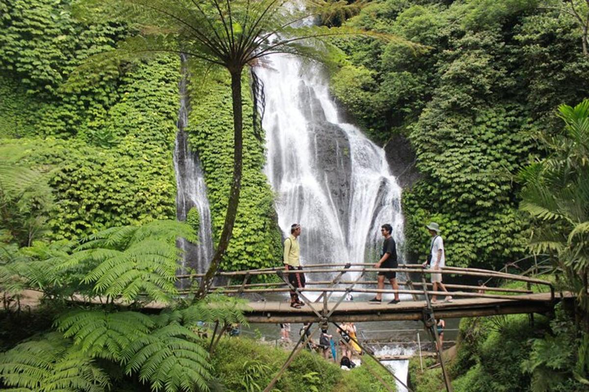 um grupo de pessoas caminhando em uma ponte em frente a uma cachoeira
