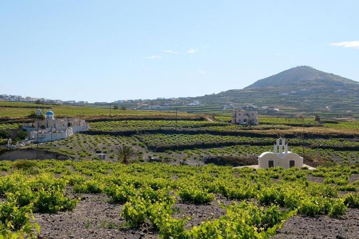 a farm in a field with a mountain in the background