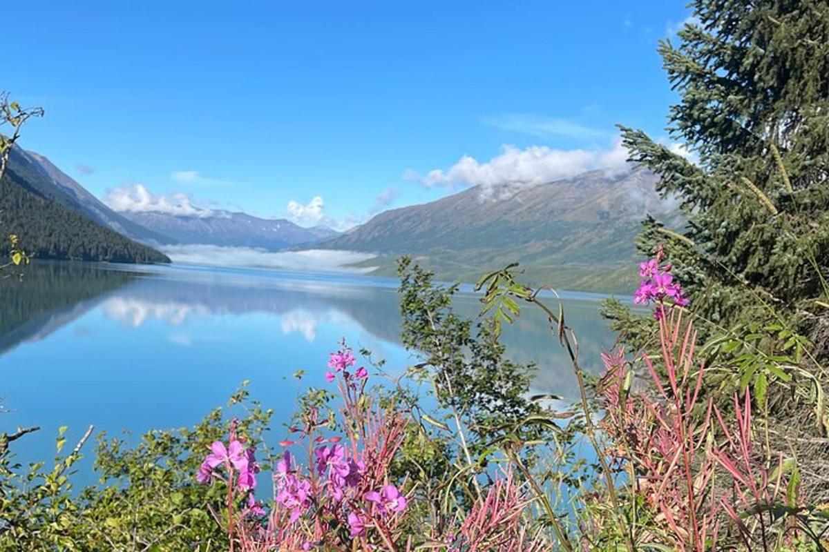 pohled na jezero s horami v pozadí