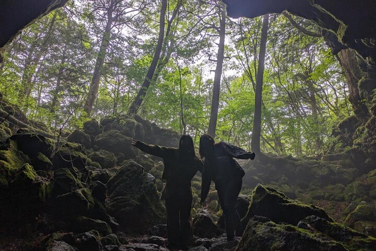 kaks inimest kõnnivad metsas koopas