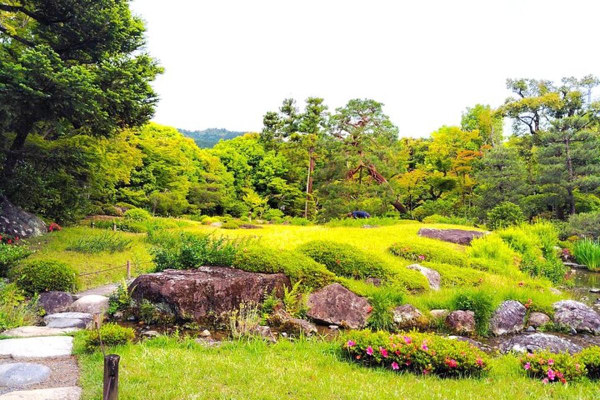 ein Garten mit grünem Gras, Felsen und Bäumen