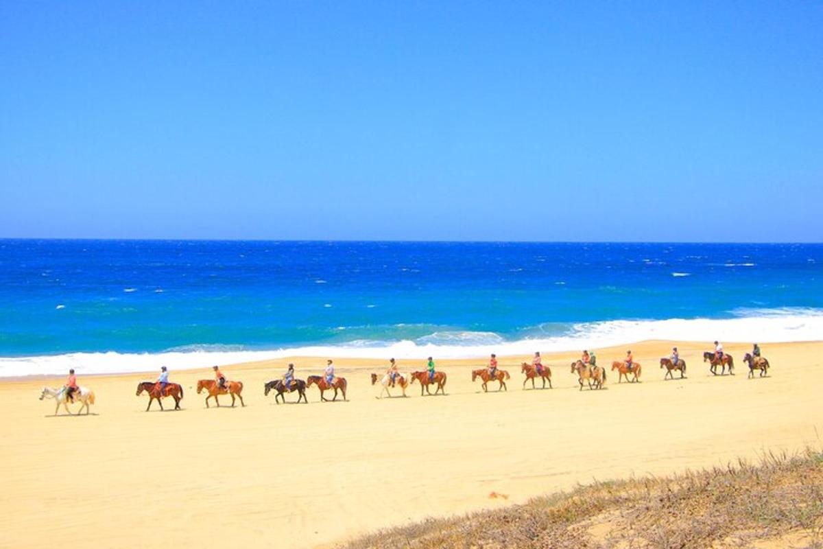 um grupo de pessoas andando a cavalo na praia