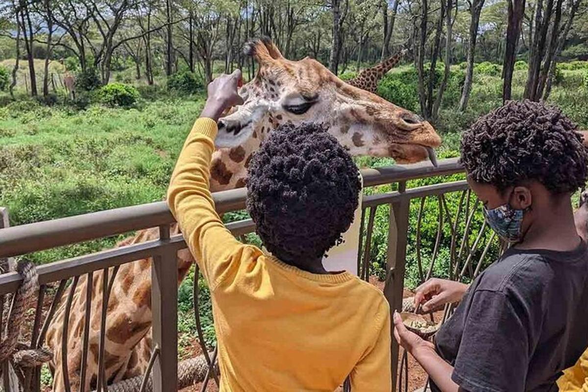 dvě děti hladí žirafu v zoo