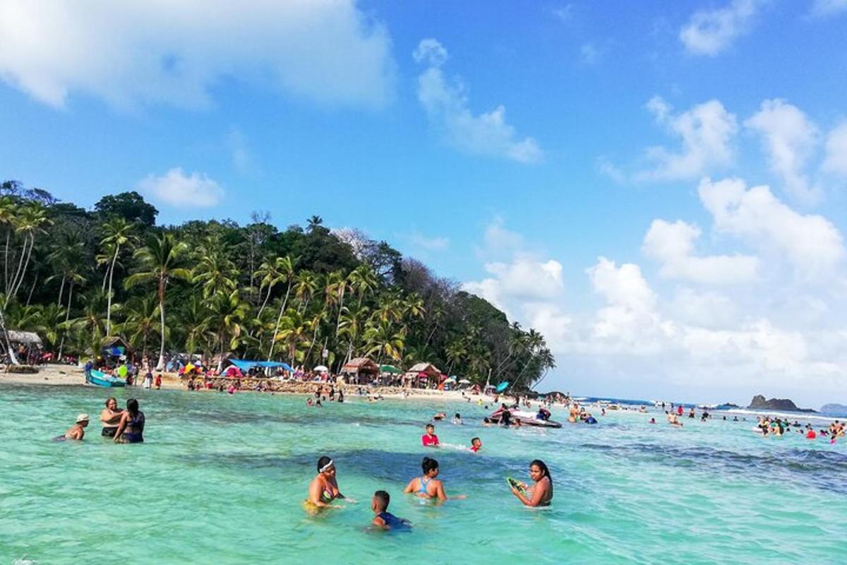 Un grupo de personas en el agua en una playa