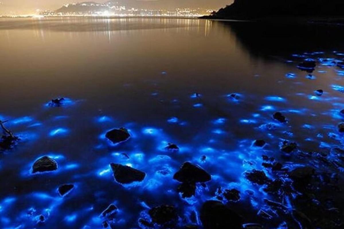 vodno telo ponoči z modrimi lučmi