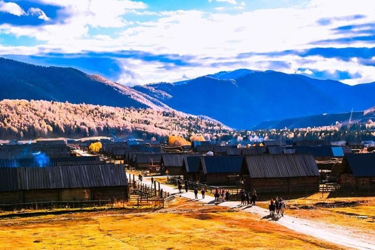 田野中的一组建筑，背景是群山