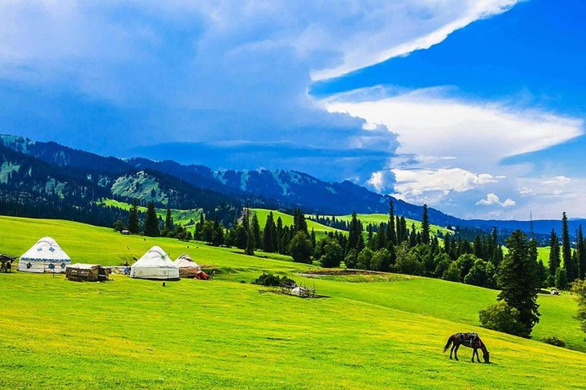a horse grazing in a green field with tents