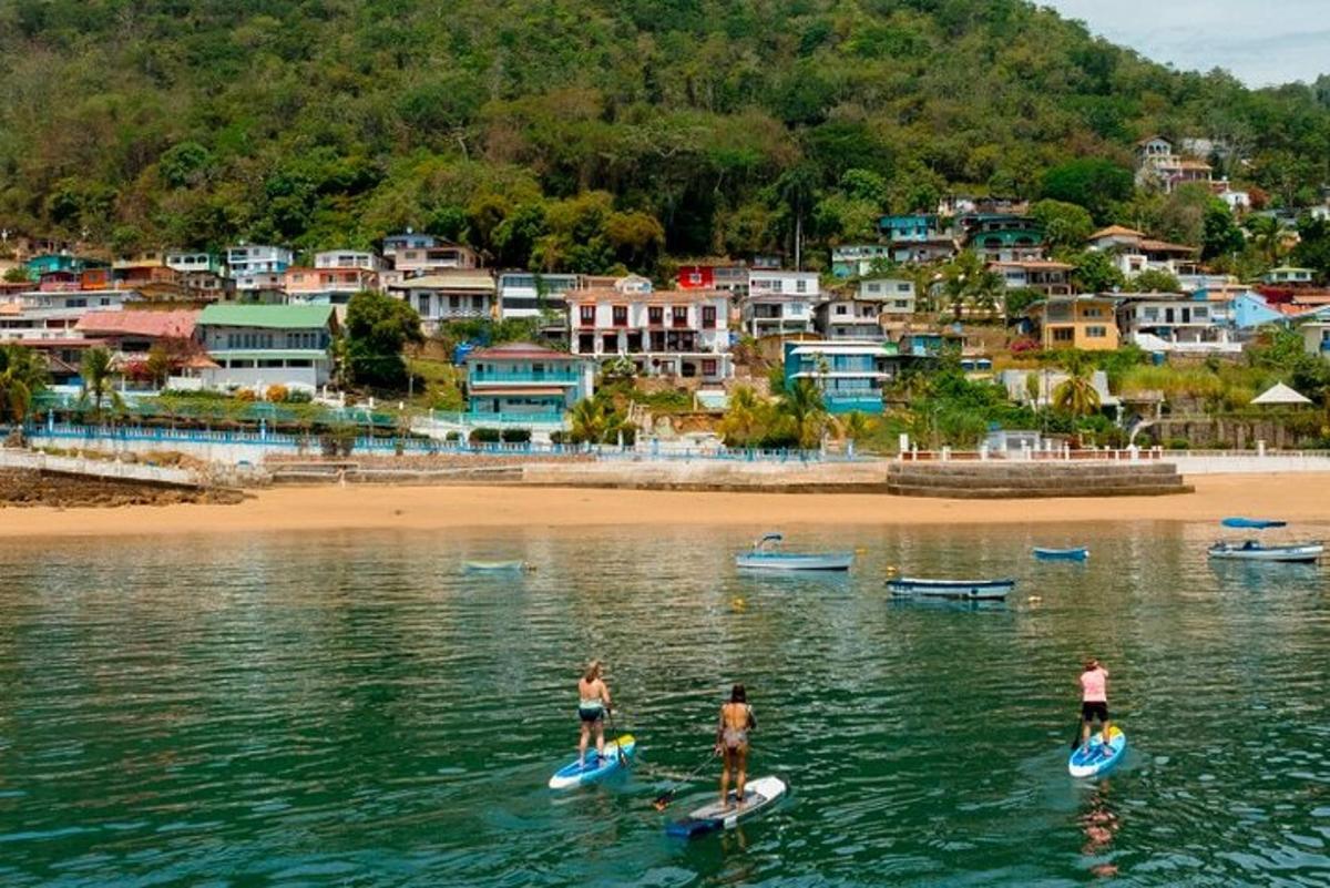 một nhóm người đứng trên ván lướt sóng trong nước