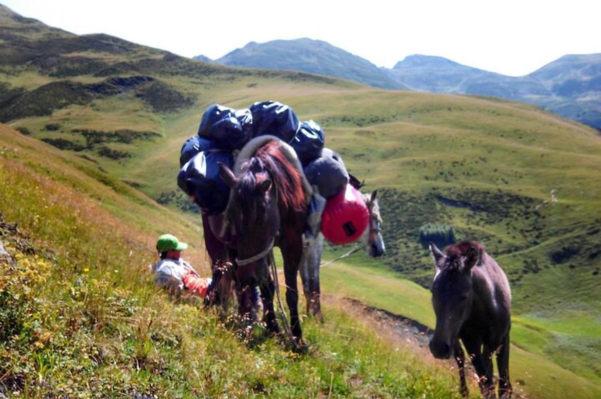 Un hombre sentado en una colina con dos caballos en una colina