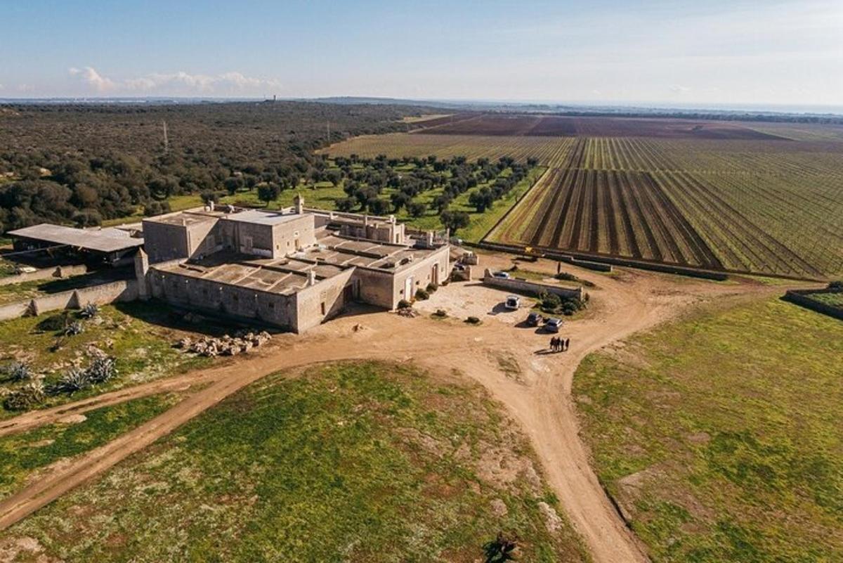 una vista aerea di un edificio in mezzo a un campo