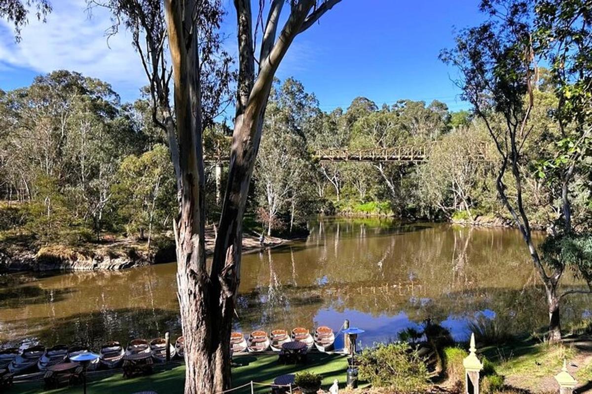 a group of people sitting on chairs by a river