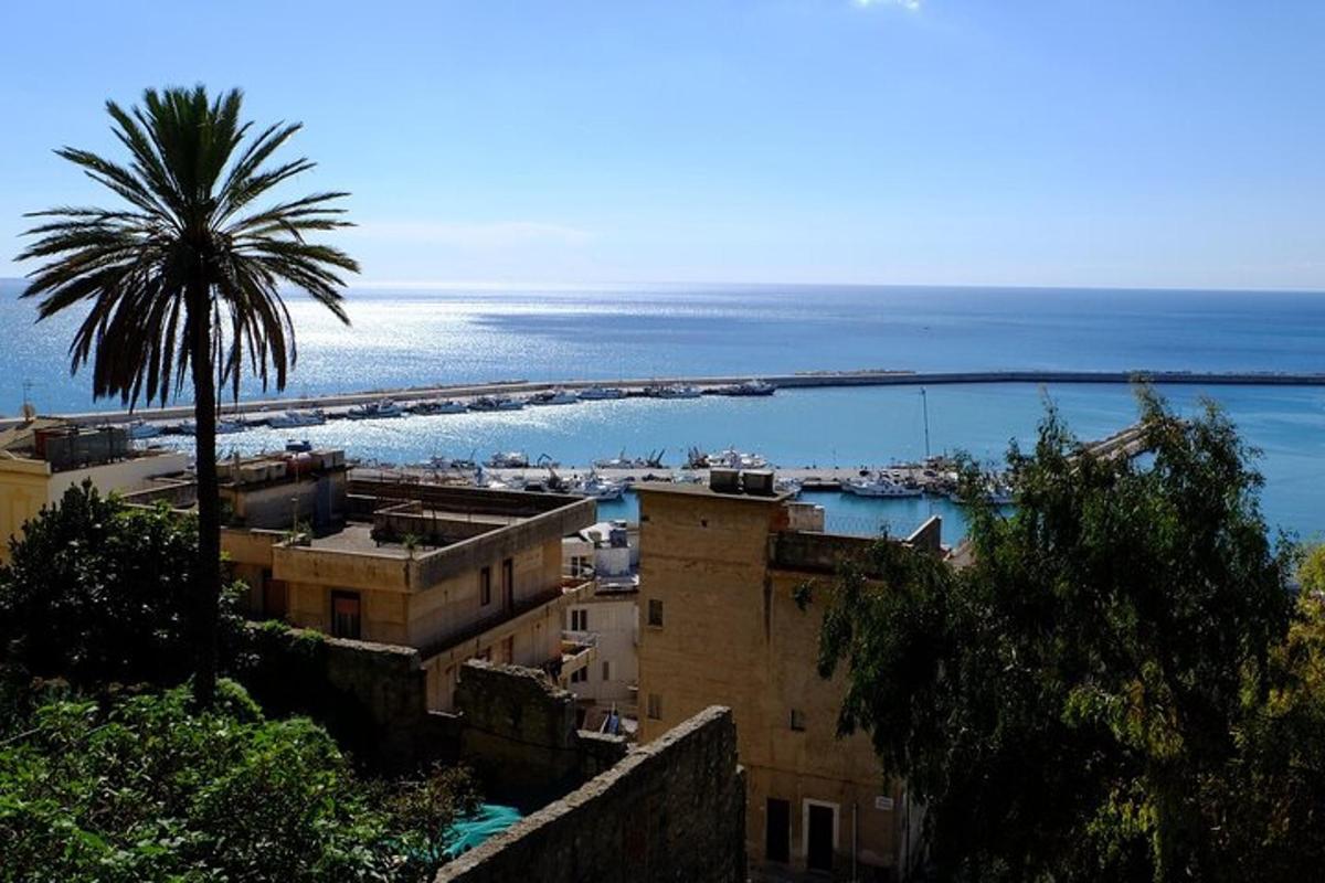 Una vista de una ciudad con una palmera y el océano.