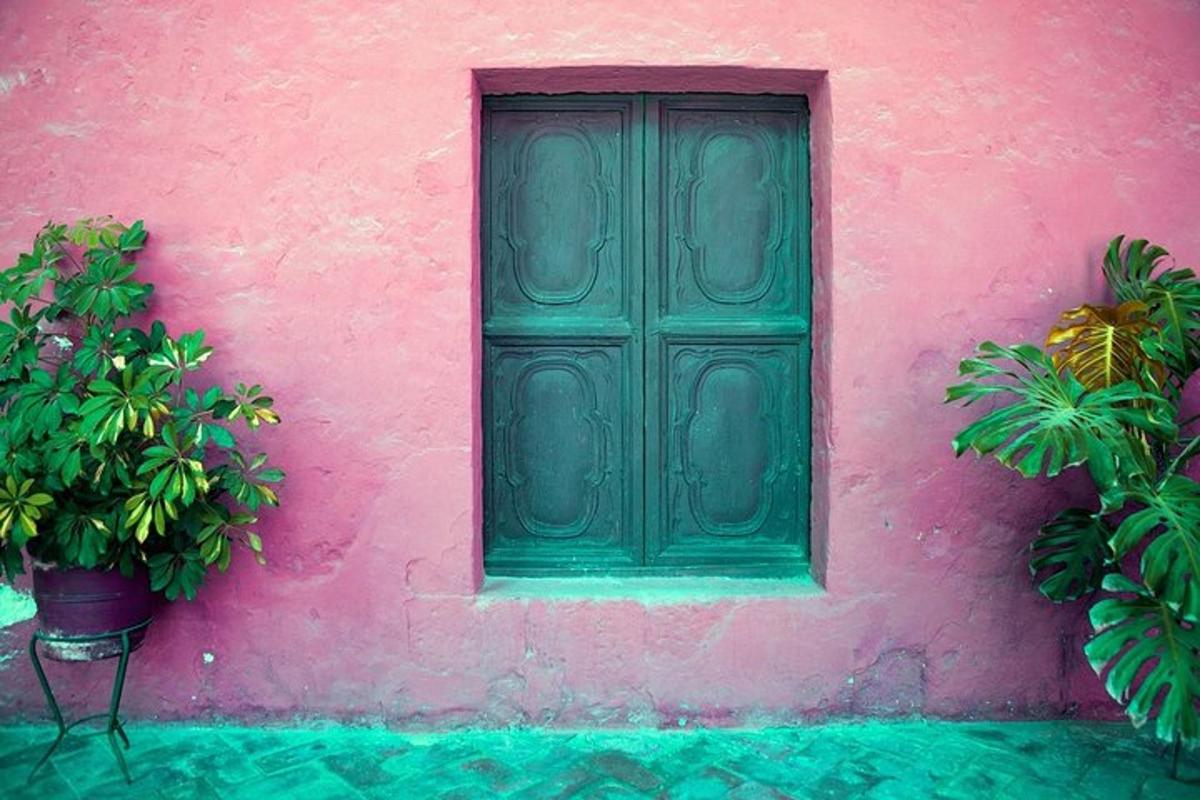 una paret rosa amb una porta verda i dues plantes