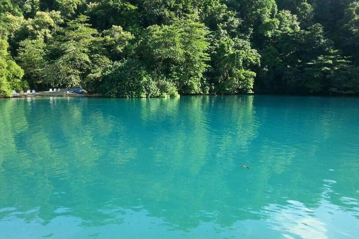 velké modré jezero se stromy v pozadí