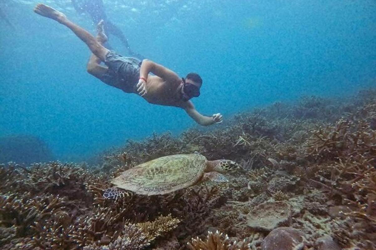 muž plave v oceánu s želvou ve vodě