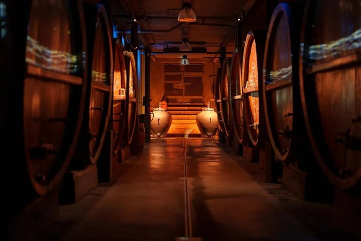 Visite de cave Immersive, dégustation et repas planchette – photo 4