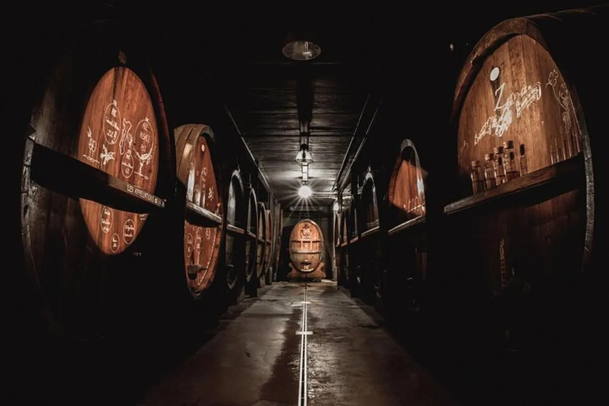 Visite de cave Immersive, dégustation et repas planchette – photo 9
