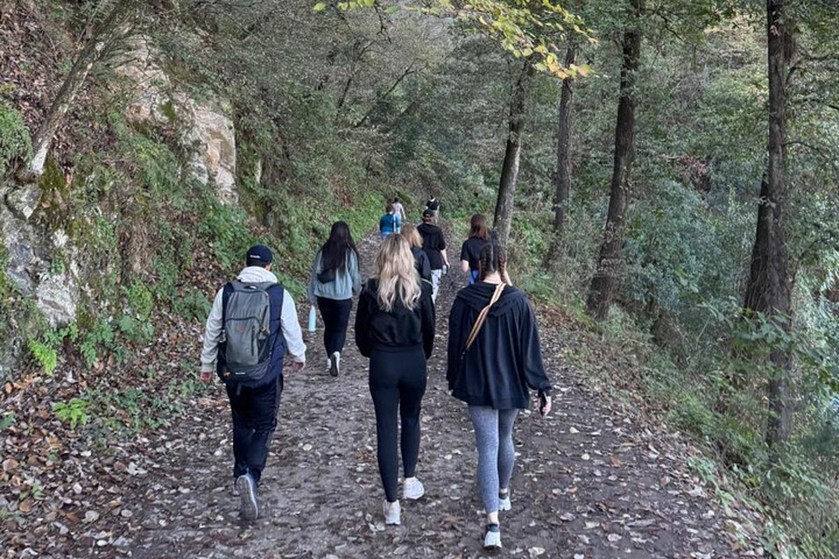 Un grupo de personas caminando por un sendero en el bosque.