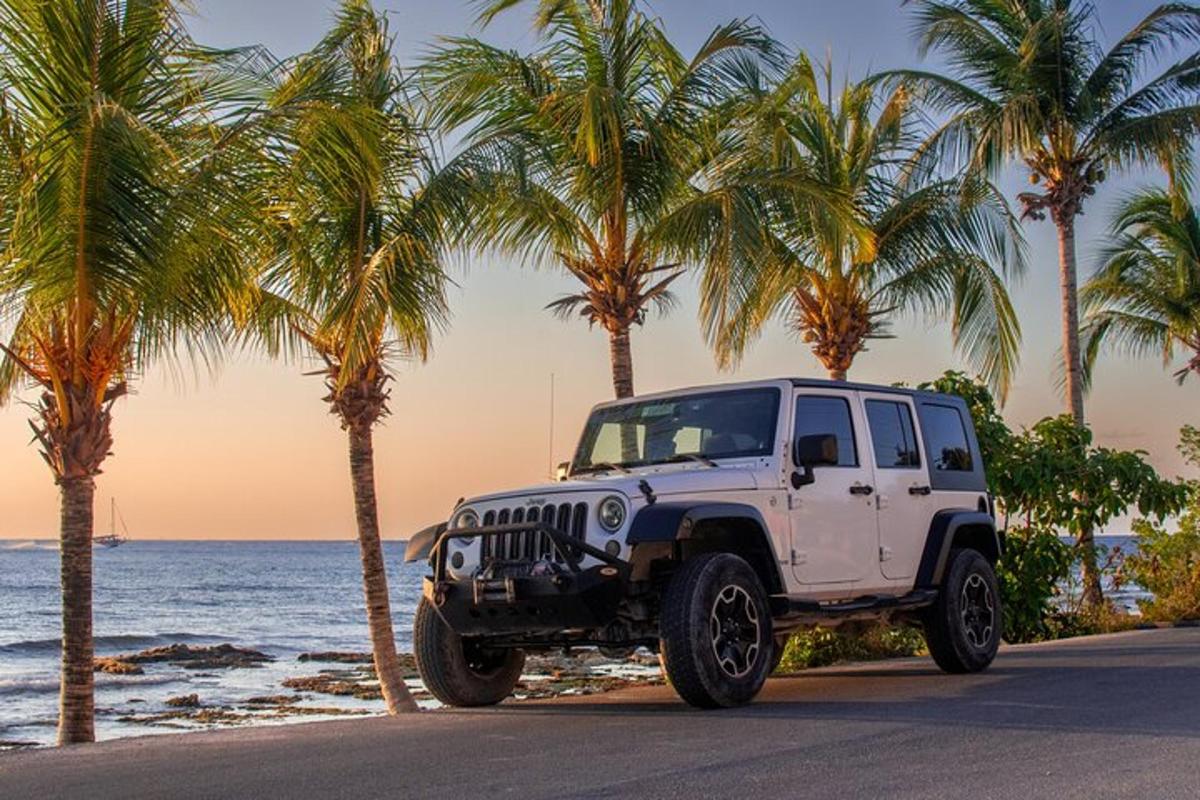 un jeep blanc aparcat en una platja amb palmeres