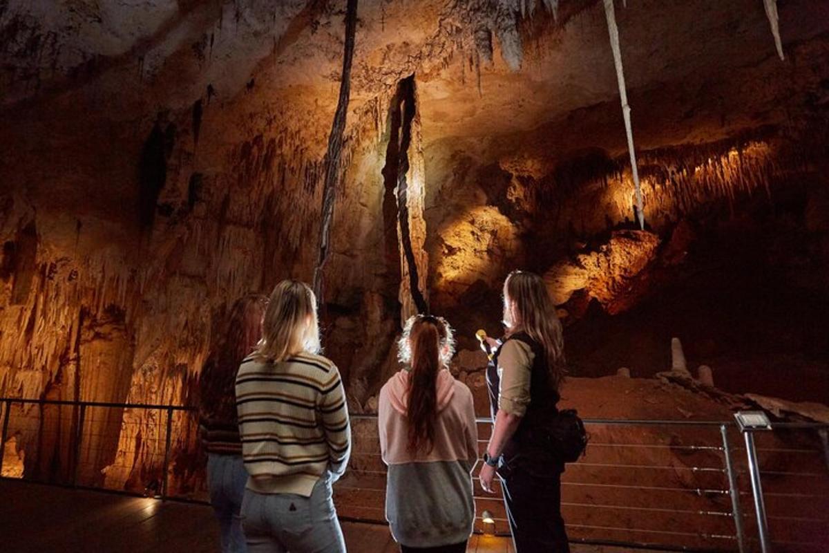 Attraction picture 7